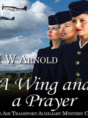 A Wing and a Prayer