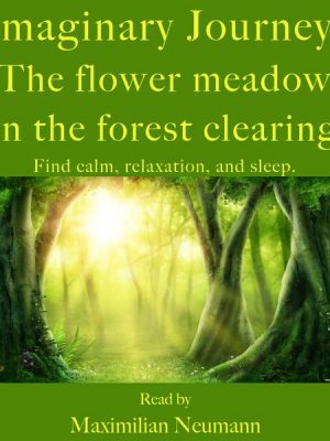 Imaginary Journey: The flower meadow in the forest clearing