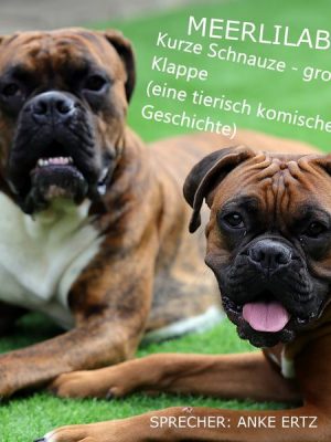 Kurze Schnauze - große Klappe