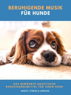 Beruhigende Musik für Hunde