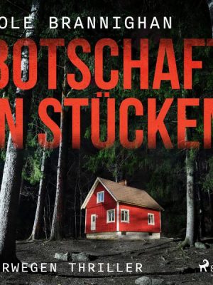 Botschaft in Stücken: Norwegen-Thriller