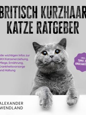 Britisch Kurzhaar Katze Ratgeber: Alle wichtigen Infos zur BKH Katzenerziehung