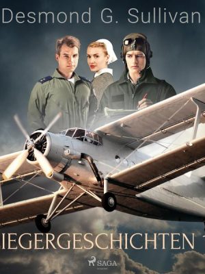 Fliegergeschichten 1-3