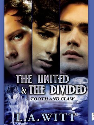 The United and the Divided