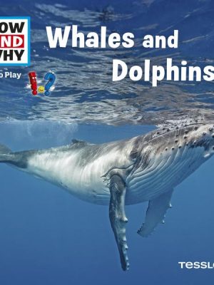 HOW AND WHY Audio Play Whales And Dolphins