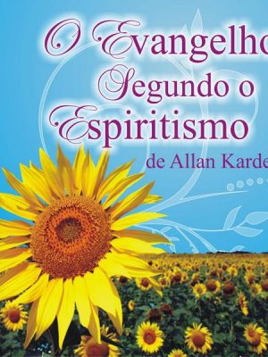 O Evangelho segundo o Espiritismo