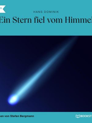 Ein Stern fiel vom Himmel