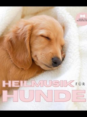 Heilmusik für Hunde