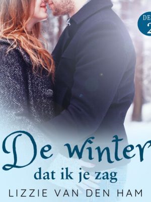 De winter dat ik je zag