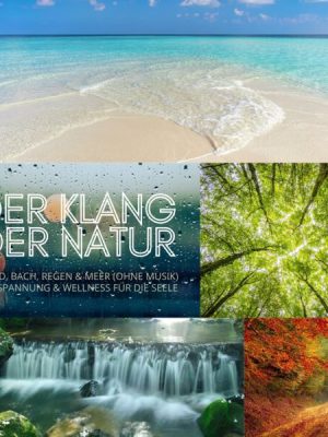 Der Klang der Natur - Wald