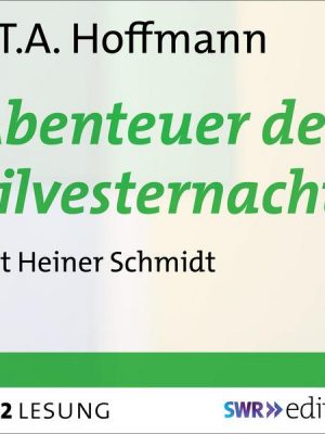 Abenteuer der Silvesternacht