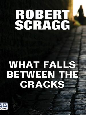 What Falls Between the Cracks