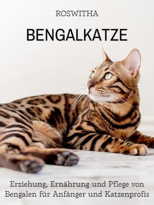 Bengalkatze