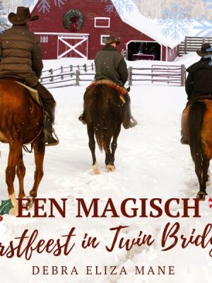 Een magisch kerstfeest in Twin Bridges