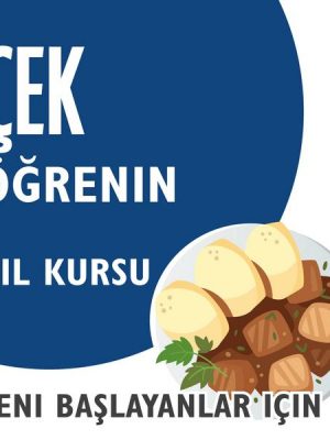 Çek Öğrenin (Yeni Başlayanlar için Dil Kursu)