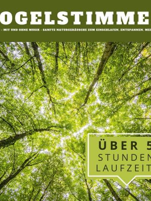 Vogelstimmen im Wald: Sanfte Naturgeräusche zum Einschlafen