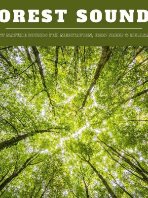 Forest Sounds: Forest Nature Sounds for Meditation