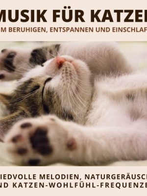 Musik für Katzen zum Beruhigen