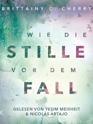 Wie die Stille vor dem Fall. Zweites Buch