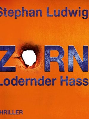 Zorn 7 – Lodernder Hass